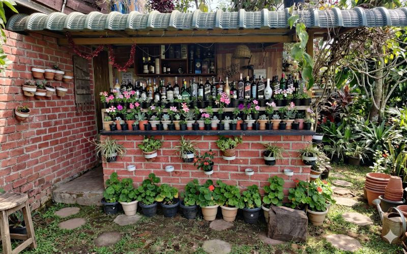 Cozy Bar