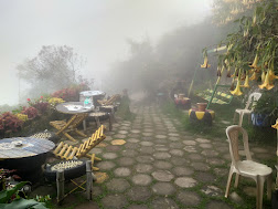 Misty Views