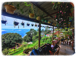 Outdoor seatong 6