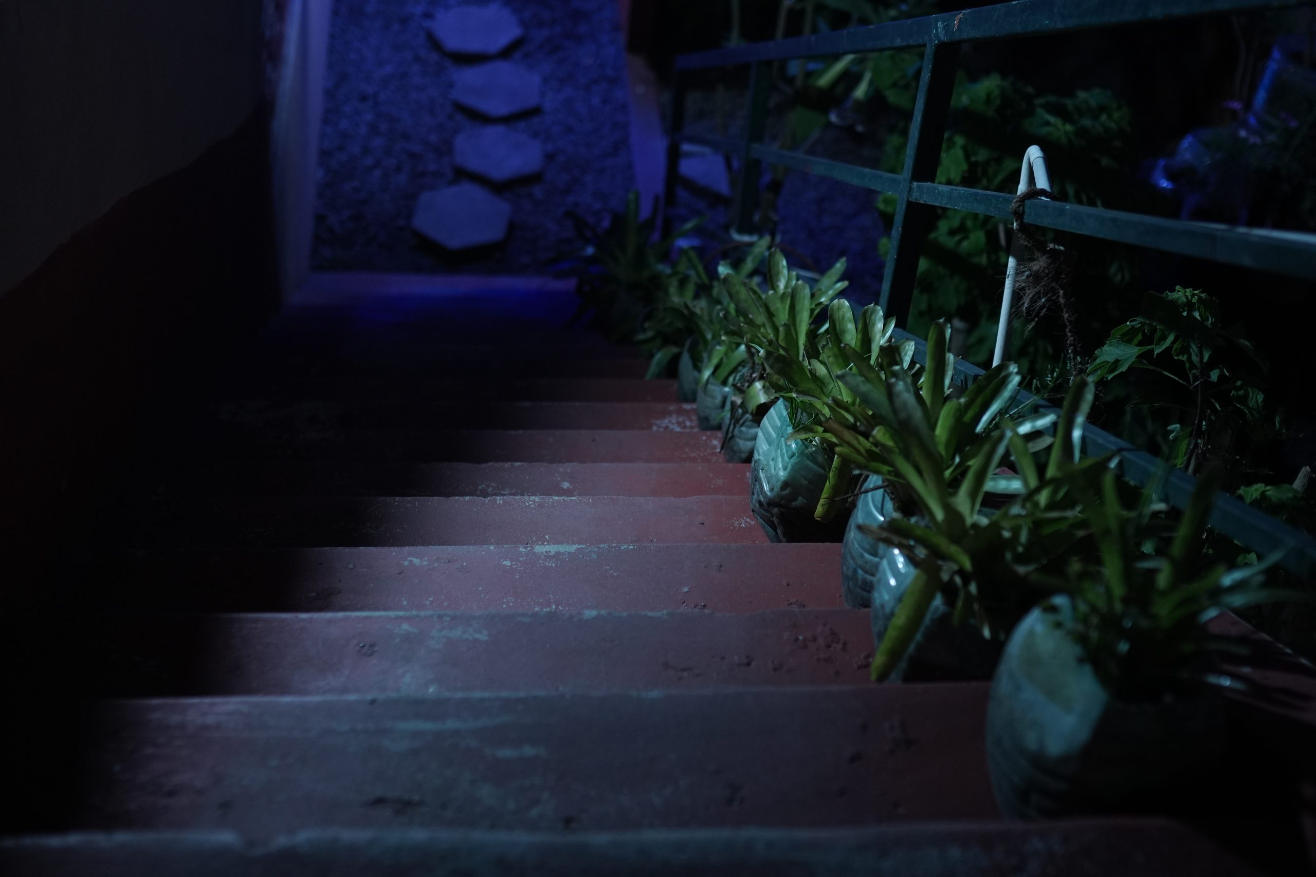 plant corridor